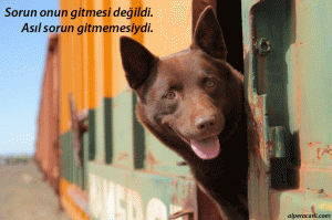 ()Akılda()